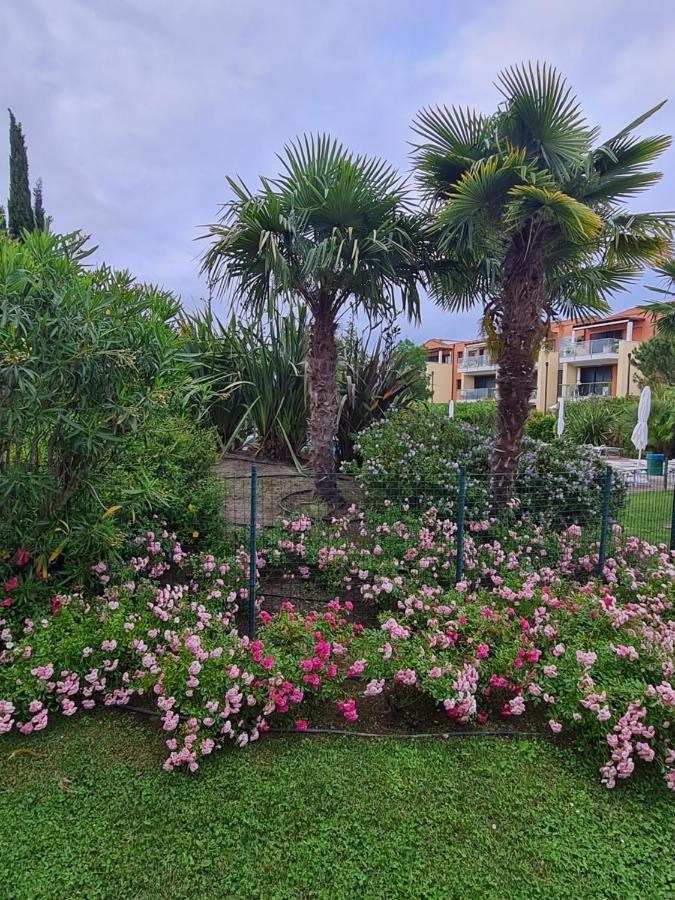Appartamento Con Vista A Cavallino Venezia Екстериор снимка