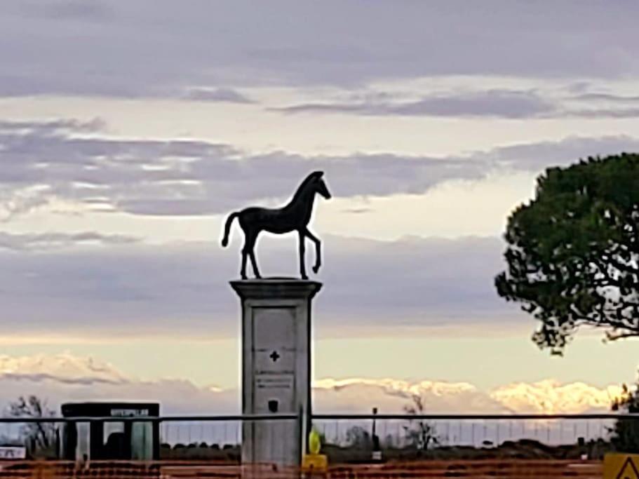 Appartamento Con Vista A Cavallino Venezia Екстериор снимка